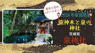 【泉神社で最強開運！マツコの知らない世界で話題になった龍神と泉の神社】茨城県日立市泉神社