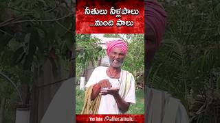 సిగ్గుమాలిన పని కాదా #trending #trending #comedy #comedyvideos #viral #telugu #shortvideos #shorts