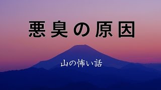 【山の怖い話】悪臭の原因【朗読、怪談、百物語、洒落怖,怖い】