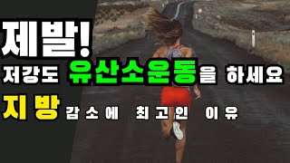 지방을 빼려면 제발! 저강도 유산소 운동을 하세요. 저강도 유산소운동의 핵심 장점