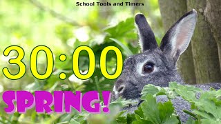 30 Minute Countdown Timer - Springtime Rabbit! 🐰