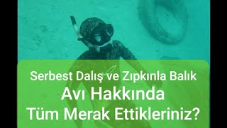 Zıpkınla Balık Avı ve Serbest Dalış.  Makrisub