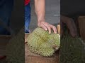 the hell smelling durian cut by a man with a nice smile