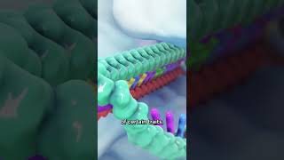 How Crispr Gene Editing Works