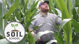 Soil School: Ground truthing tillage strategies with Adam Ireland