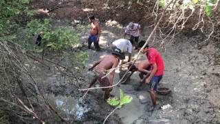 Traditional fishing, បូមទឹកចាប់ត្រី