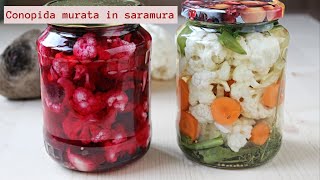 Conopida murata in saramura. 1 singura reteta, 2 variante: alb si roz! - 🥣 Lecturi si Arome