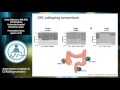 novel approaches to trial design in the era of molecular subtyping