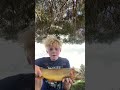 #catch #catchingfish #trout #fishingtechniques #catching #troutfishing #outdoors #fishingtips