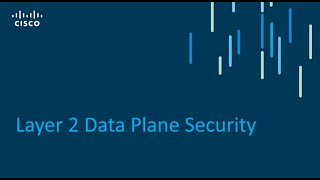 Layer 2 Data Plane Security Controls
