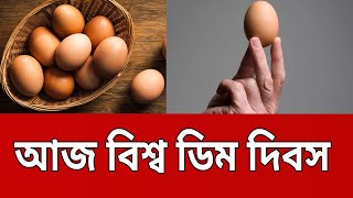 বিশ্ব ডিম দিবস আজ | Bangla News | Mytv News