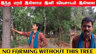 வறண்ட நிலங்களில் கூட லட்சங்கள் சம்பாதிக்கலாம் 🤑💰#FutureFarming #foodforest  #மோகன்ராஜ்