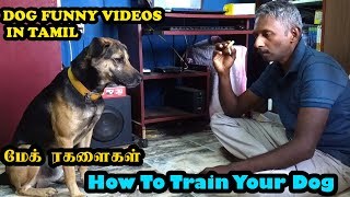 மேக் ரகளைகள் | How to train your dog