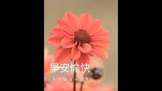 【囍結善緣2024年08月01日】