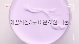 직접 찍은 이쁜사진\u0026귀여운사진 나눔