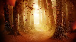 Dark Autumn Music - Crimson Leaves