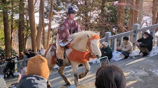 新春恒例の騎馬参拝　１３４段一気に　函館八幡宮