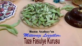 Taze Fasulye Kurusu (Kış Kazırlıkları)