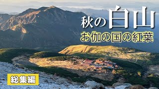 【秋の白山】神が住むお伽の国の紅葉｜総集編