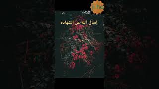 اسأل الله عن الشهادة #سبحان_الله_والحمدلله_ولا_إله_إلا_الله_والله_اكبر