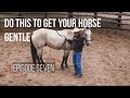 Desensitizing Your Horse: Epsidoe 7