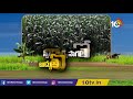 తీపి మొక్కజొన్న సాగుతో అద్భుత‌మైన ఆదాయం sweet corn crop cultivation methods matti manishi 10tv