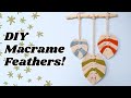 Macrame Feather Wall Hanging (using Templates!)