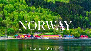 Norway 4K - Spring Wonders with Fjords, Blossoming Valleys, and Wildlife - 4K UHD