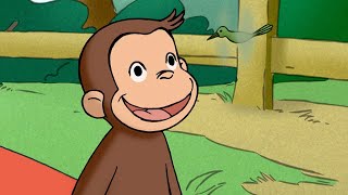 George Adora o Campo 🐵 George, o Curioso 🐵 Desenhos Animados