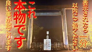 ⚠️神回※もし逃したら二度ありません#伊勢神宮 #最強 #パワースポット