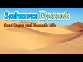 The Sahara Desert, Sand Dunes And Nomadic Life | Lesson On The Sahara For Children | Q&A Quiz