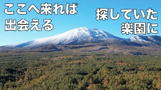 195万円で買った別荘と人生の楽園がある村