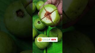 Guava Fruit | జామ కాయ #guava #jamakaya #guavafruit #trending #shorts #viral #shortsviral #viralvideo