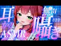 【ASMR/耳かき】眠くなる耳かきとたっぷり無声囁き【VTuber/耳かきボイス /EarCleaning/睡眠導入/ゴリゴリ/鼓膜/Japanese/こりす】