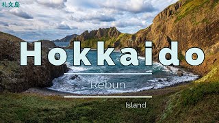 Open to the Sea: Photographing Rebun Island in Hokkaido, Japan