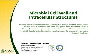 Lesson 1.3: Microbial Cell Wall and Intracellular Structures