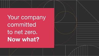 Net zero: Move from theory to action