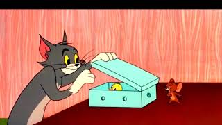 Tom y Jerry en Español | Los Mejores Momentos de Little Quacker | @BobiSahilVlog