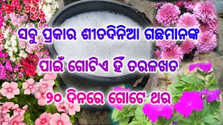 ପ୍ରତ୍ୟେକ ଶୀତଦିନିଆ ଗଛ ପାଇଁ ଗୋଟିଏ ହିଁ ତରଳଖତ ll ସବୁଠାରୁ ଶକ୍ତିଶାଳୀ ତରଳଖତ #liquidfertilizer #wintergarden