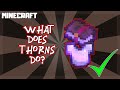 What Does THORNS Enchantment Do in Minecraft?