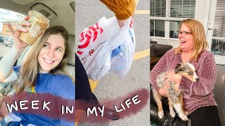 week in my life: Trying New Starbucks Drinks, Target Haul, & My Mom Meets Freya for the First Time!