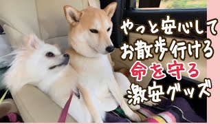 【柴犬 もみさん】お手頃 便利！散歩中 リードが外れないグッズ！（ペンチで強くしめてね）Safe item that Shiba Inu Momisan′s leash cannot be taken