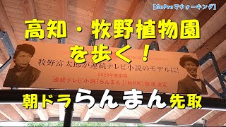 GoProでウォーキング　高知県高知市　高知県立牧野植物園　2023年度前期のNHK連続テレビ小説『らんまん』のモデル、植物学博士 牧野富太郎朝ドラを先取りする #らんまん