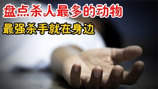 盘点4种杀人最多动物，每年致死72万人只能排第二，第一不敢相信