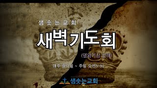 2025.2.8(토) 새벽기도회 [일곱 번까지 다시 가라(열왕기상 강해57)] - 왕18:41~46 / 허경 목사