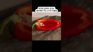 직접 재배한 채소에 소금간만 한 미슐랭 식당 #shorts