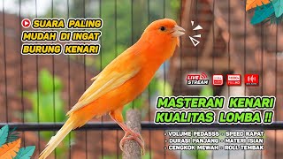 Download Lagu Masteran Kenari GACOR Durasi Panjang COCOK untuk P... MP3 Gratis
