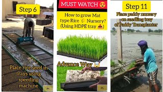 HDPE trays Method to grow Mat type #paddy nursery 👌 Advance n easy #paddytransplanter