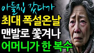 폭설온날 자식위해 맨발로 뛰어갔지만 문앞에서 쫓겨난 어머니의 복수 인생 라디오 사연을 실제 오디오북을 통해 들어보세요