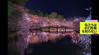 「青森県」観光で絶対に行くべき絶景ベスト５